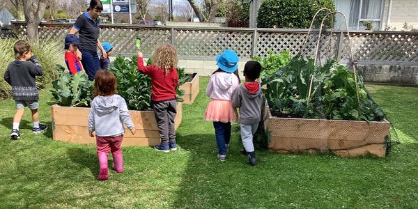 A picture of BestStart Havelock North