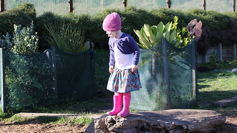 A picture of Little Earth Montessori Kapiti