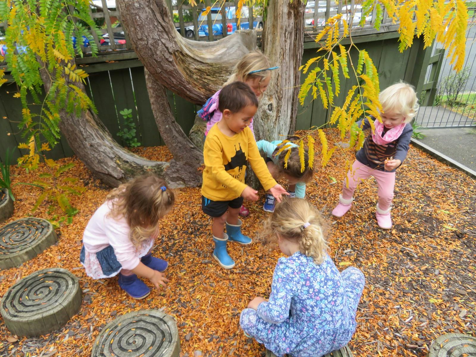 A picture of Murrays Bay Childcare Centre