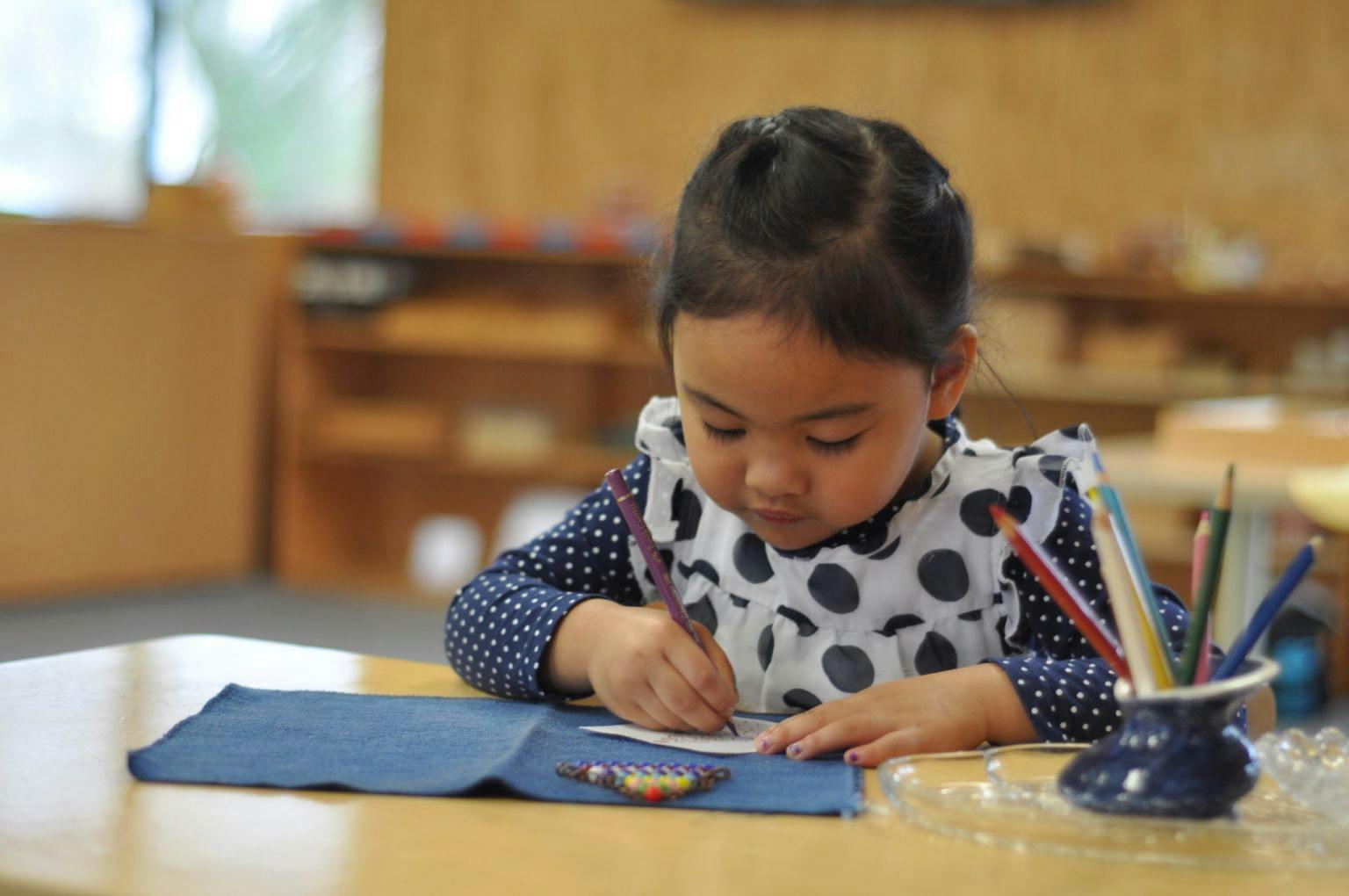 A picture of Waikato Montessori Early Education Centre