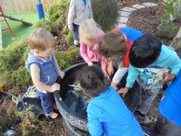 A picture of Impact Childcare Whangarei
