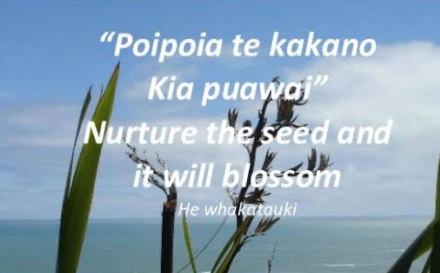 A picture of Waiapu Kids - Te Hapara Whanau Aroha