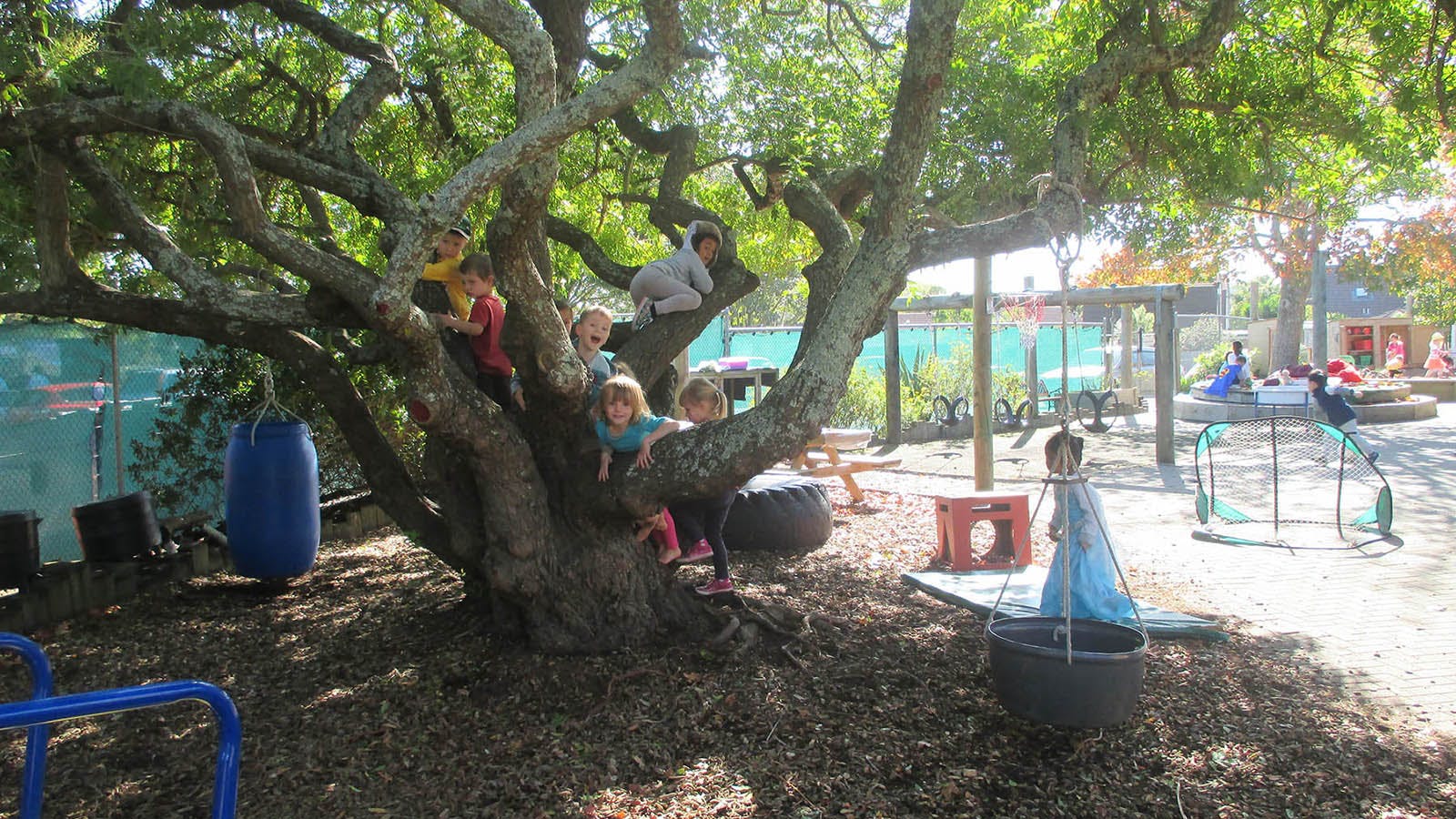 A picture of Farm Cove Kindergarten