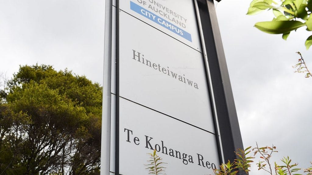 A picture of Te Kōhanga Reo o Hineteiwaiwa